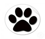 Pet Shops em Passo Fundo